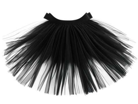 Black Tulle Skirt Isolated