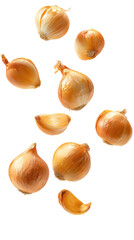 Onion Cloves on Transparent Background