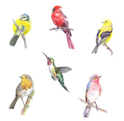 Fototapeta premium Watercolor painting. Collection of little birds on white background.