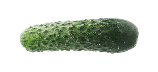 One fresh green cucumber isolated on white
