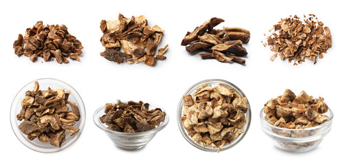 Chicory. Dry pieces of root isolated on white, set