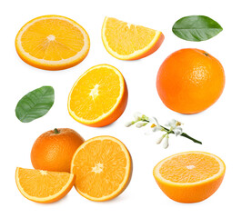 Fresh oranges, green leaves and blossoms isolated on white, set