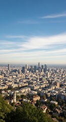 Obraz premium Urban panorama of a sprawling metropolis with a modern downtown skyline.