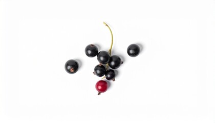 Blackcurrants and Redcurrant Fresh Berries, White Background, Food Photography