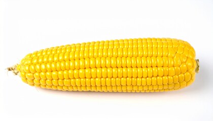 Sweet Corn Cob Yellow Kernels, Ripe Harvest, Fresh Vegetable