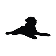 Golden retriever silhouette