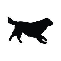 Golden retriever silhouette