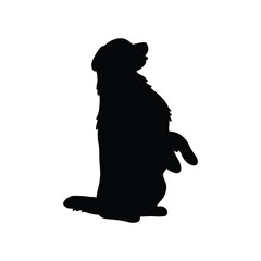 Golden retriever silhouette