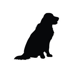 Golden retriever silhouette