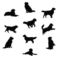 Golden retriever silhouette