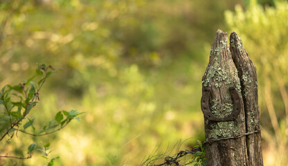 Lucky horseshoe on an old farm pallet	