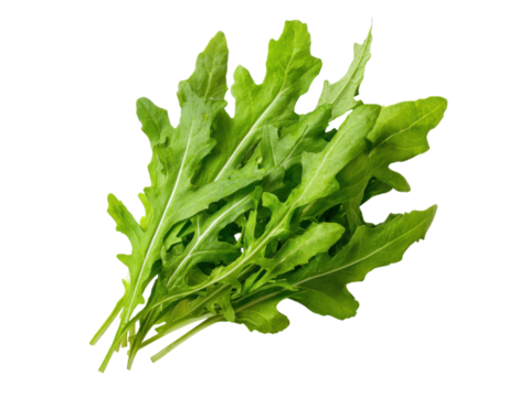 Fresh green arugula leaves bunch healthy, Png Transparent, Isolated on White