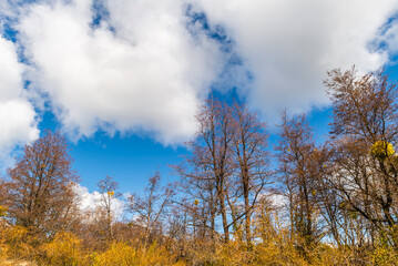 Fototapeta premium The Bonito River Waterfall, surrounded by forests and mountains, is a tourist attraction in Villa La Angostura, Argentina.