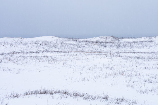 Fantasy landscape of snow-covered fields