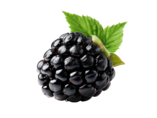 Juicy dark blackberry with green leaves on black fruit, Png Transparent, Isolated on White