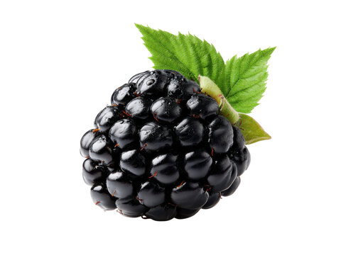 Juicy dark blackberry with green leaves on black fruit, Png Transparent, Isolated on White