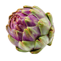 Obraz premium Vibrant purple and green artichoke bud vegetable, Isolated On White, Png Transparent, Cut Out