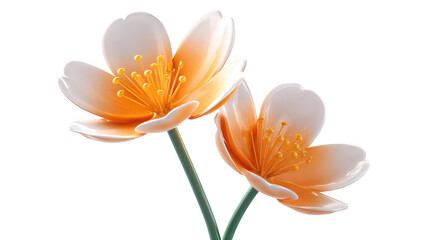 Obraz premium Orange white flower petals pistils isolated on a transparent background stamen bloom