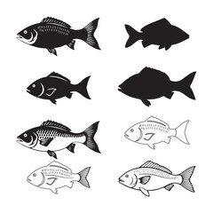 Fish Illustration Aquatic Animal Silhouette Vector Outline Collection