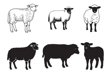 Sheep Lamb Animal Farm Illustration Outline Silhouette Collection