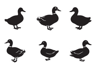 Duck Black Silhouette Vector Illustration Set for Graphics Projects