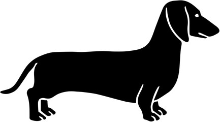 dog silhouette isolated,dachshund dog illustration realistic sketch of short legged sausage dog cute loyal pet artwork retro engraved design isolated on white background detailed hound breed portrait