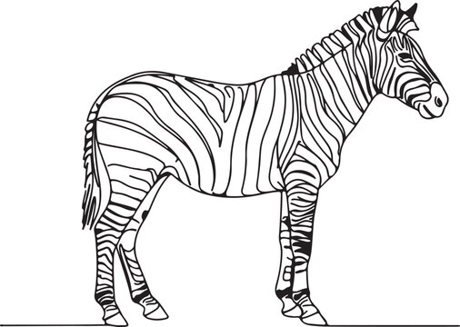 Minimal continuous line sketch of a zebra standing sideways, with distinctive striped contour