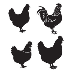 Chicken Silhouette Vector Art Illustrations for Farm and Food Themes