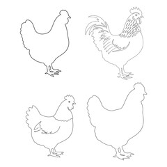 Simple Chicken Outline Illustrations for Coloring Pages and Crafts