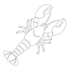 Detailed Line Art Lobster Design Vector Graphic Resource