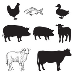 Variety of Farm Animals Vector Illustrations for Educational Resources