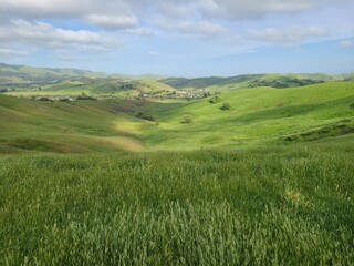 Lush greenery of the East Bay hills in the spring near Dublin, California