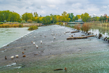 Wide views of the Royal Palace of Aranjuez gardens and lake with ducks swimming