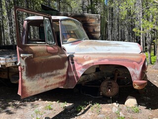 Rusty truck in the woods
