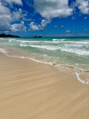 Tropical Vacation Dreams