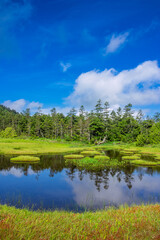 summer landscape with lake and sky