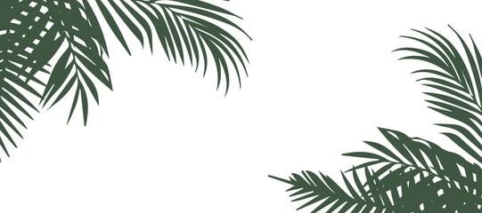 Cartoon palm tree branches for tropical-themed design vector illustration. Border for summer graphics, invitations or eco packaging