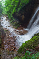 waterfall in the green forest