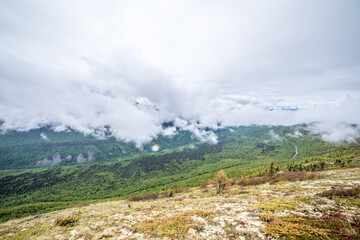 Misty Mountain Valley with Lush Green Forest