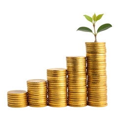 Growing Plant on Stacked Gold Coins