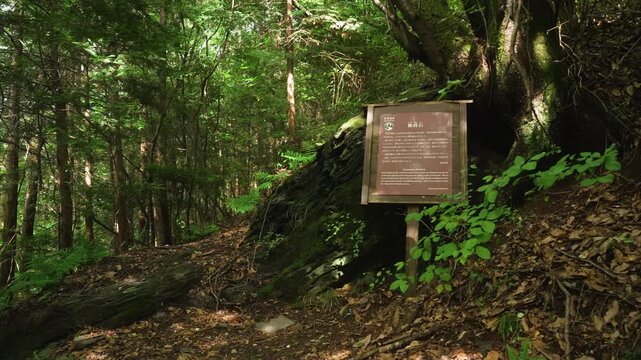 高野山町石道「榧蒔石」157町石 和歌山県かつらぎ町 Kayamaki Stone &ndash; 157th Milestone on the Koyasan Choishi Michi, Katsuragi Town, Wakayama, Japan