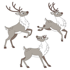 Gray reindeer standing running jumping joyful animal mammal