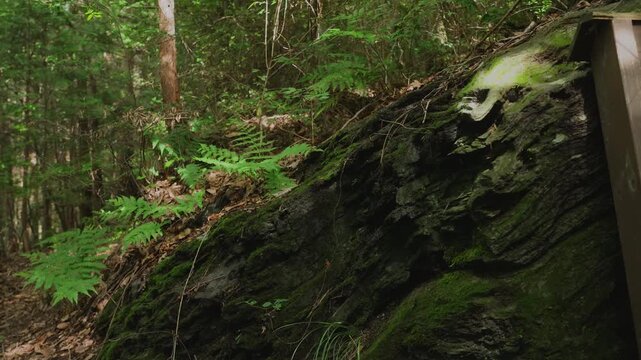 高野山町石道「榧蒔石」157町石 和歌山県かつらぎ町 Kayamaki Stone &ndash; 157th Milestone on the Koyasan Choishi Michi, Katsuragi Town, Wakayama, Japan