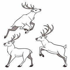 Reindeer jumping running standing animal