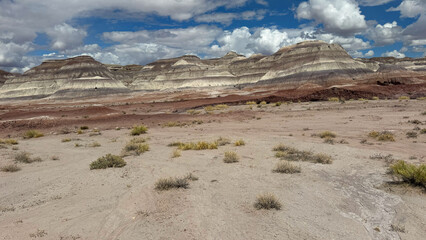 the painted desert