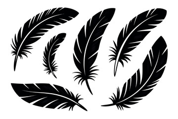 Obraz premium Collection of seven black silhouette bird feathers arranged in a circular pattern