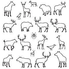 Wild Animal Vector Bundle – Fox, Elephant, Giraffe, Deer, Tiger, Lion, Horse – Cartoon Clipart Set

