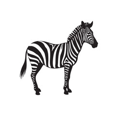 Fototapeta premium Horse Vector Clipart – Hand-Drawn Cartoon Farm Animal Illustration