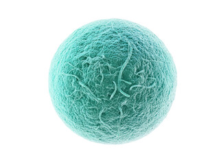 Microscopic Cell Structure