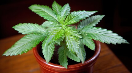 Data visualization insights digital workspace infographic modern environment dashboard view analytics overview